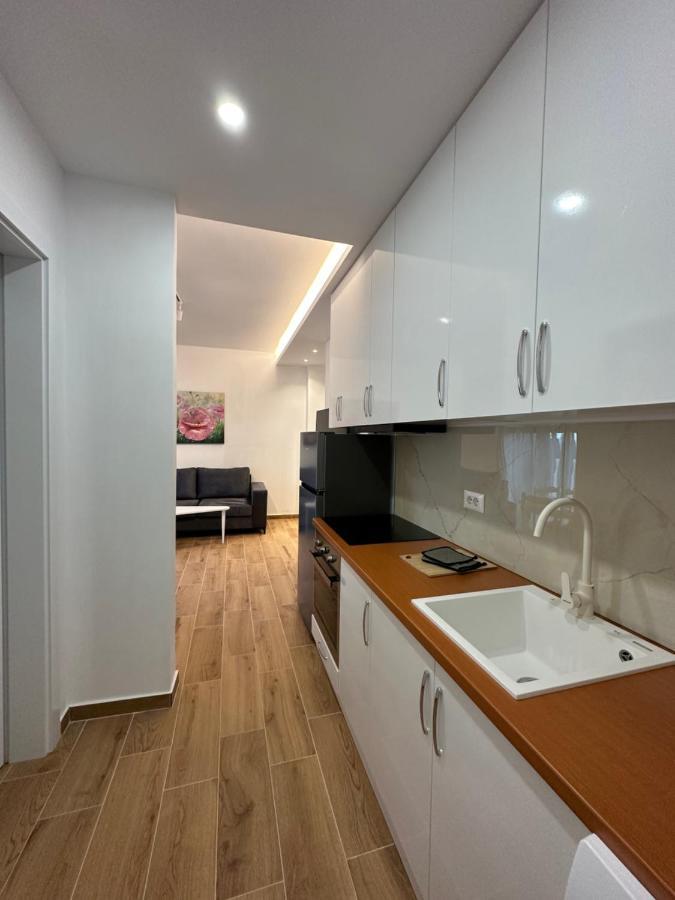 Apartment Bonaparte